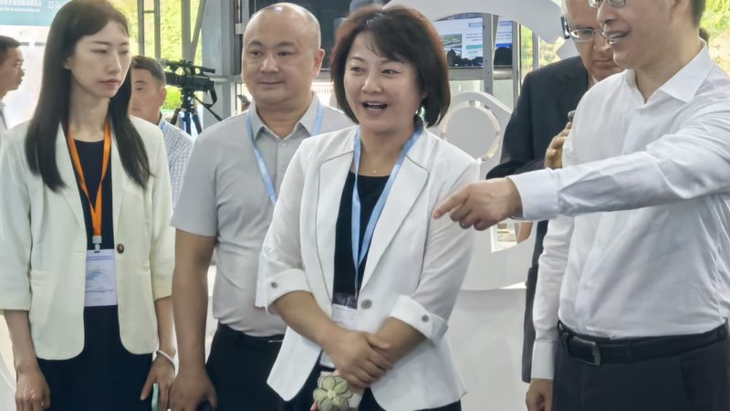 20寸大尺寸轮胎：如何选择合适的品牌？**